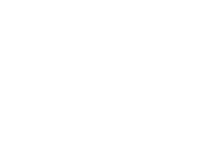 GlobCars Omoda